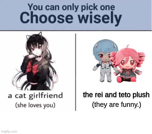 Choose wisely | the rei and teto plush; (they are funny.) | image tagged in choose wisely,rei plush,teto plush | made w/ Imgflip meme maker
