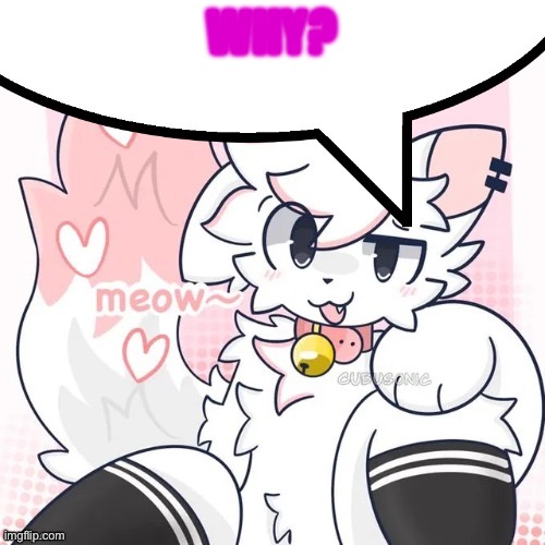 femboy boykisser speech bubble | WHY? | image tagged in femboy boykisser speech bubble | made w/ Imgflip meme maker