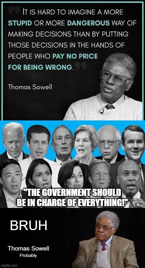 I hope Tommy wins the Medal of Freedom before he passes | "THE GOVERNMENT SHOULD BE IN CHARGE OF EVERYTHING!"; BRUH; Thomas Sowell; Probably | image tagged in thomas sowell,politics lol,conservatives,libertarians,politics | made w/ Imgflip meme maker