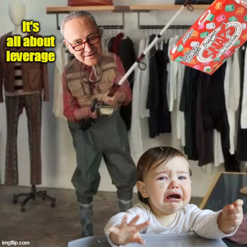 Head of the party of the Common Man | It's all about leverage | image tagged in schumer snap fishing  baby meme | made w/ Imgflip meme maker