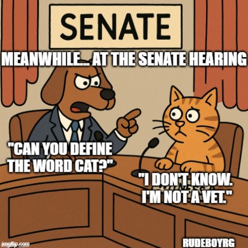 Define Woman | image tagged in define woman,senate hearing,politics,cat parody,dog parody,ketanji brown jackson | made w/ Imgflip meme maker