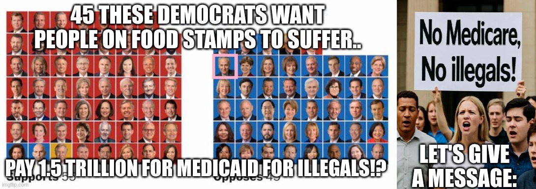 45 THESE DEMOCRATS WANT PEOPLE ON FOOD STAMPS TO SUFFER.. PAY 1.5 TRILLION FOR MEDICAID FOR ILLEGALS!? LET'S GIVE A MESSAGE: | made w/ Imgflip meme maker