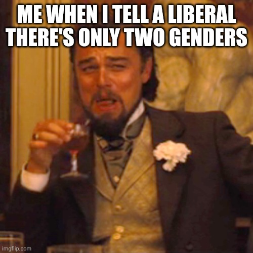 Me when I tell a liberal there are only two genders | ME WHEN I TELL A LIBERAL THERE'S ONLY TWO GENDERS | image tagged in memes,laughing leo | made w/ Imgflip meme maker