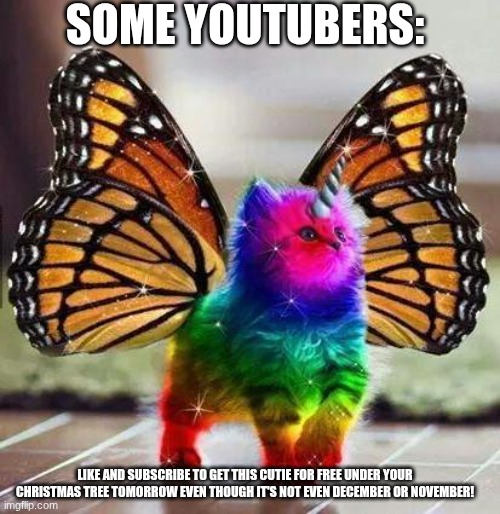 Rainbow unicorn butterfly kitten | SOME YOUTUBERS:; LIKE AND SUBSCRIBE TO GET THIS CUTIE FOR FREE UNDER YOUR CHRISTMAS TREE TOMORROW EVEN THOUGH IT'S NOT EVEN DECEMBER OR NOVEMBER! | image tagged in rainbow unicorn butterfly kitten | made w/ Imgflip meme maker