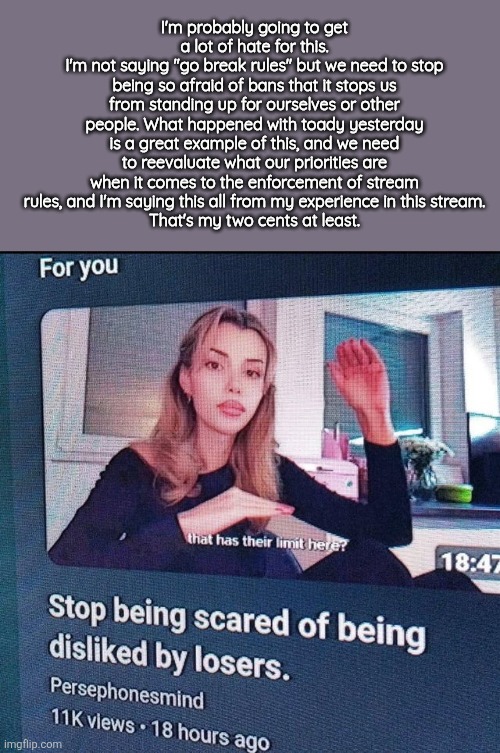 I'm probably going to get a lot of hate for this.
I'm not saying "go break rules" but we need to stop being so afraid of bans that it stops us from standing up for ourselves or other people. What happened with toady yesterday is a great example of this, and we need to reevaluate what our priorities are when it comes to the enforcement of stream rules, and I'm saying this all from my experience in this stream.
That's my two cents at least. | made w/ Imgflip meme maker