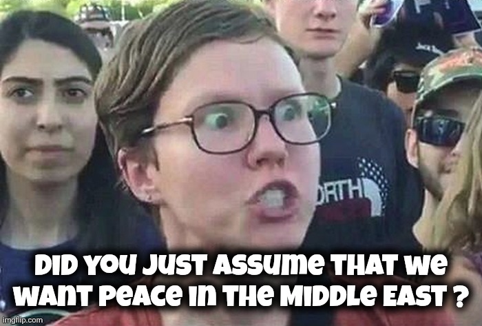 Triggered Liberal | Did you just assume that we want peace in the Middle East ? | image tagged in triggered liberal | made w/ Imgflip meme maker