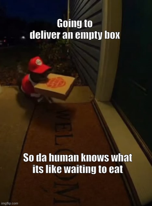 Pizza pizza | Going to deliver an empty box; So da human knows what its like waiting to eat | image tagged in cats,cat,funny memes,funny cats,memes | made w/ Imgflip meme maker