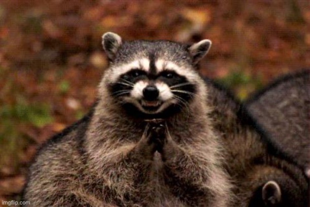 image tagged in memes,evil plotting raccoon | made w/ Imgflip meme maker
