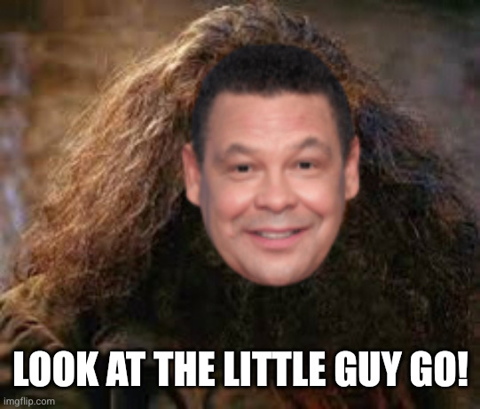 Craig Charles Hagrid | LOOK AT THE LITTLE GUY GO! | image tagged in craig charles hagrid | made w/ Imgflip meme maker