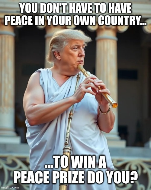 Have is plural..has is singular. They have peace...he has none!!!! | YOU DON'T HAVE TO HAVE PEACE IN YOUR OWN COUNTRY... ...TO WIN A PEACE PRIZE DO YOU? | image tagged in greatest flutest by his own admission | made w/ Imgflip meme maker