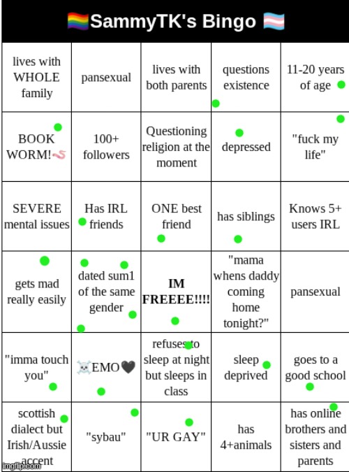 SAMMYTK's BINGO | image tagged in sammytk's bingo | made w/ Imgflip meme maker