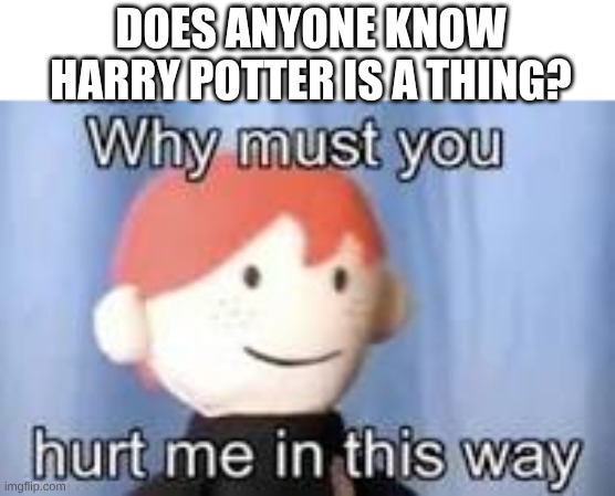 Why? | DOES ANYONE KNOW HARRY POTTER IS A THING? | image tagged in why must you hurt me in this way,harry potter | made w/ Imgflip meme maker