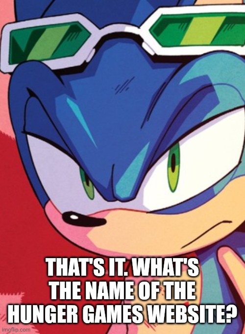 Sonic being really mad with blood | THAT'S IT. WHAT'S THE NAME OF THE HUNGER GAMES WEBSITE? | image tagged in sonic being really mad with blood | made w/ Imgflip meme maker