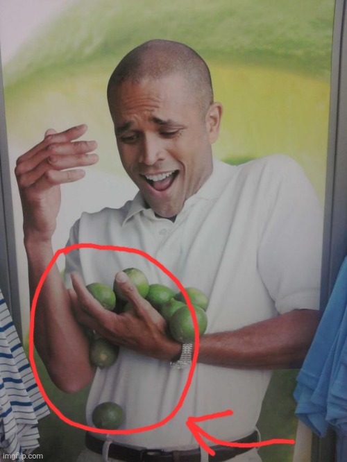 Why Can't I Hold All These Limes | image tagged in memes,why can't i hold all these limes | made w/ Imgflip meme maker