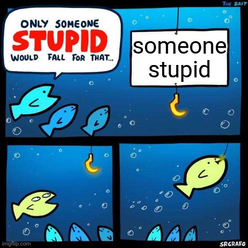 Only someone stupid would fall for that | someone stupid | image tagged in only someone stupid would fall for that | made w/ Imgflip meme maker