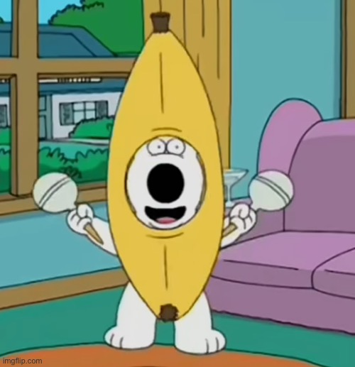 No, I will not elaborate on this | made w/ Imgflip meme maker