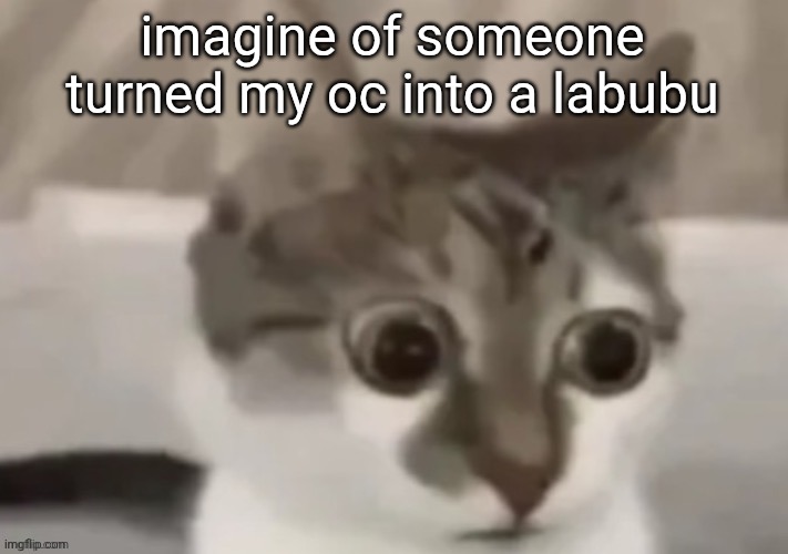 bombastic side eye cat | imagine of someone turned my oc into a labubu | image tagged in bombastic side eye cat | made w/ Imgflip meme maker