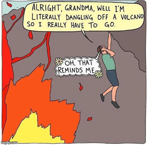 Grandma Calls | image tagged in comics | made w/ Imgflip meme maker