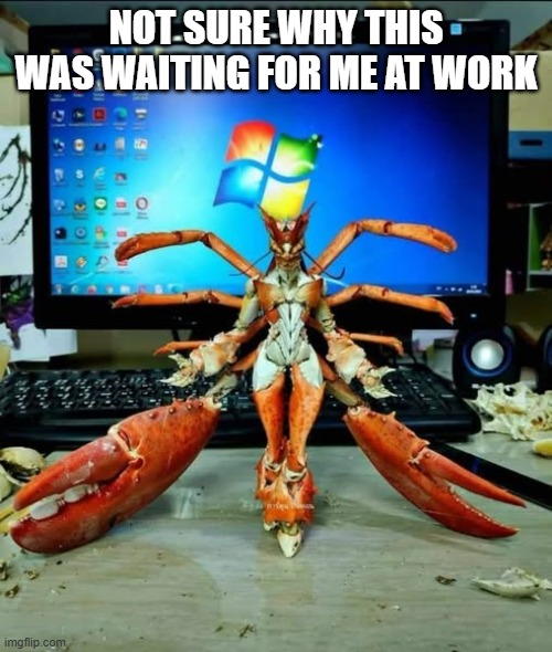 Cursed Crab | NOT SURE WHY THIS WAS WAITING FOR ME AT WORK | image tagged in cursed image | made w/ Imgflip meme maker