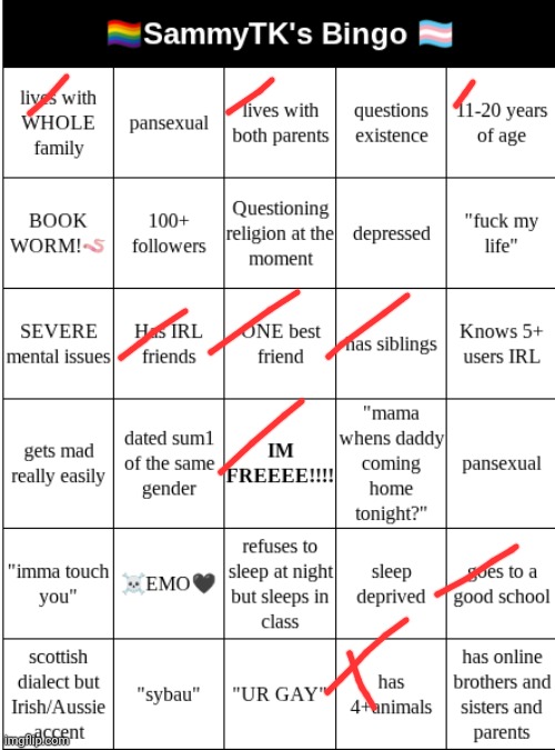 SAMMYTK's BINGO | image tagged in sammytk's bingo | made w/ Imgflip meme maker