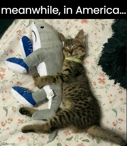 meanwhile, in America... | made w/ Imgflip meme maker