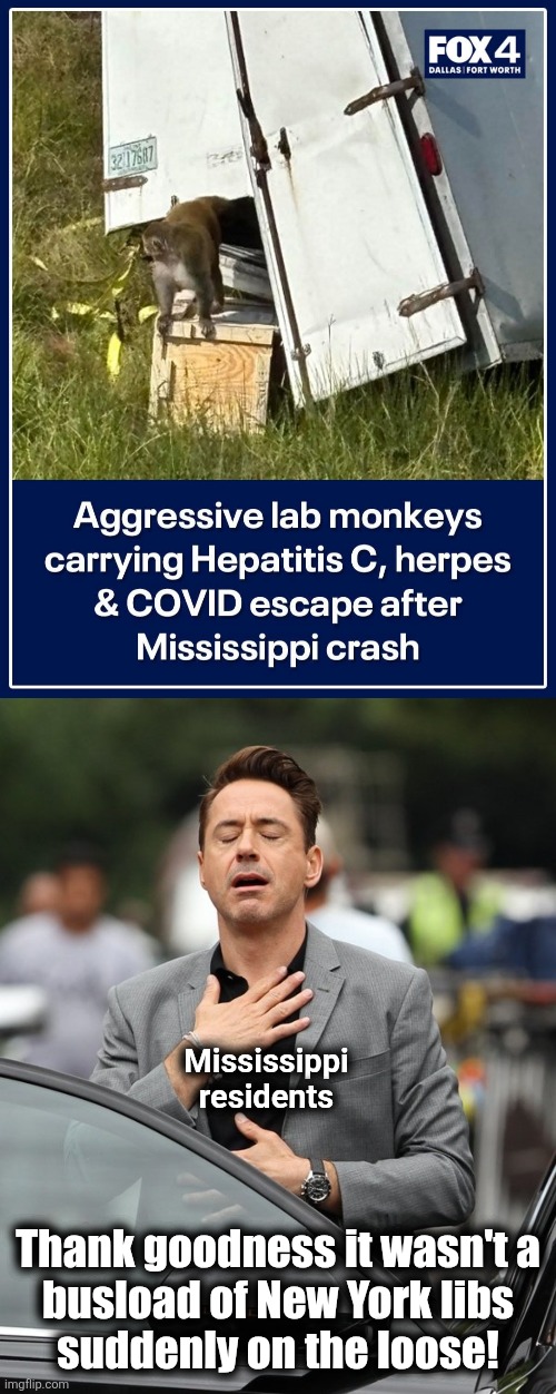 The "Escape From New York" is already underway | Mississippi
residents; Thank goodness it wasn't a
busload of New York libs
suddenly on the loose! | image tagged in relief,memes,zohran mamdani,democrats,socialism,new york city | made w/ Imgflip meme maker