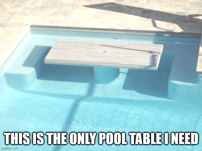 the only pool table | THIS IS THE ONLY POOL TABLE I NEED | image tagged in pool,table,literally | made w/ Imgflip meme maker