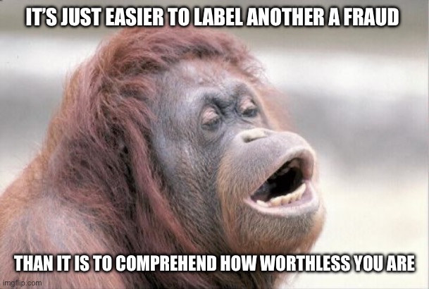 Haters giving me mood swings | IT’S JUST EASIER TO LABEL ANOTHER A FRAUD; THAN IT IS TO COMPREHEND HOW WORTHLESS YOU ARE | image tagged in memes,monkey ooh | made w/ Imgflip meme maker