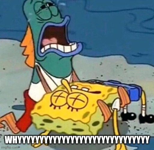 SpongeBob is dead | WHYYYYYYYYYYYYYYYYYYYYYYYYYYYYYY | image tagged in spongebob is dead | made w/ Imgflip meme maker