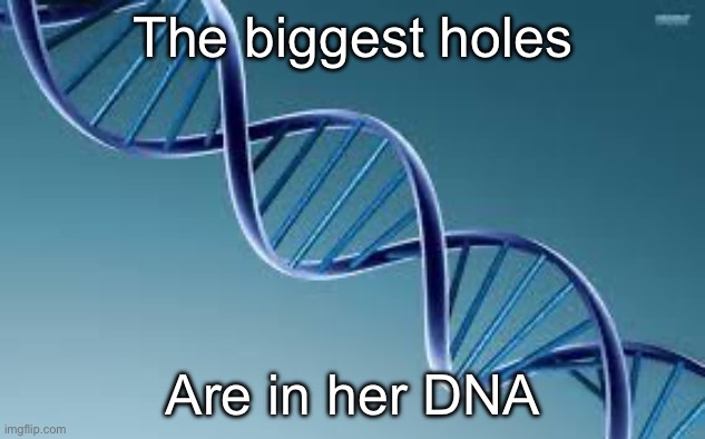 Holes in her DNA | The biggest holes; Are in her DNA | image tagged in dna,holes | made w/ Imgflip meme maker