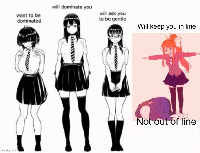 Anime Girl Domination | Will keep you in line; Not out of line | image tagged in domination stats,anime girl | made w/ Imgflip meme maker