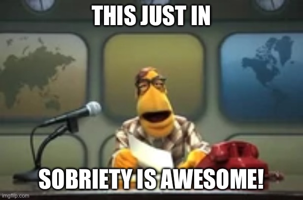 Sobriety is cool | THIS JUST IN; SOBRIETY IS AWESOME! | image tagged in muppet newsman news flash | made w/ Imgflip meme maker