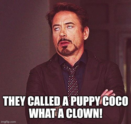 Robert Downey Jr Annoyed | THEY CALLED A PUPPY COCO
WHAT A CLOWN! | image tagged in robert downey jr annoyed | made w/ Imgflip meme maker