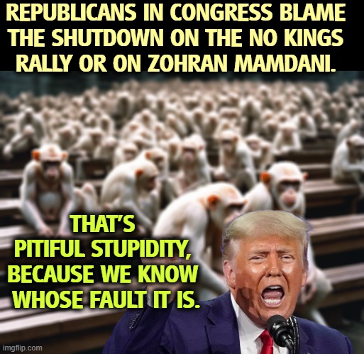REPUBLICANS IN CONGRESS BLAME 
THE SHUTDOWN ON THE NO KINGS 
RALLY OR ON ZOHRAN MAMDANI. THAT'S 
PITIFUL STUPIDITY, 

BECAUSE WE KNOW 
WHOSE FAULT IT IS. | image tagged in trump,shutdown,congress,republicans,no kings | made w/ Imgflip meme maker