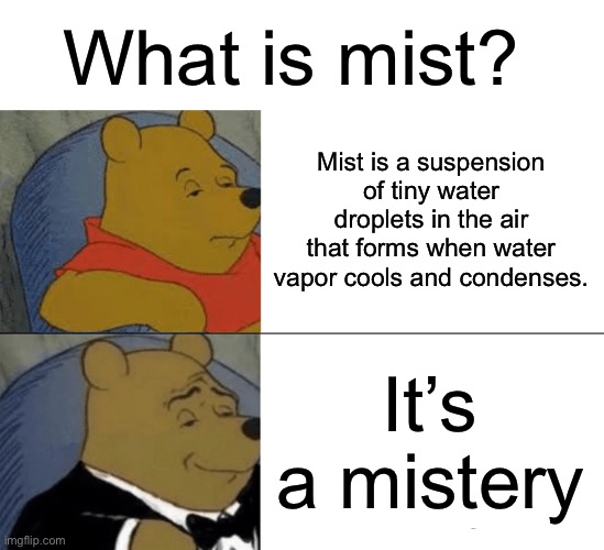 Mysterious condensation | What is mist? Mist is a suspension of tiny water droplets in the air that forms when water vapor cools and condenses. It’s a mistery | image tagged in memes,tuxedo winnie the pooh,misty,water,vapor | made w/ Imgflip meme maker