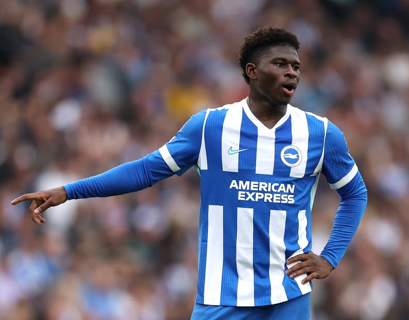 JUST Blank Meme Template