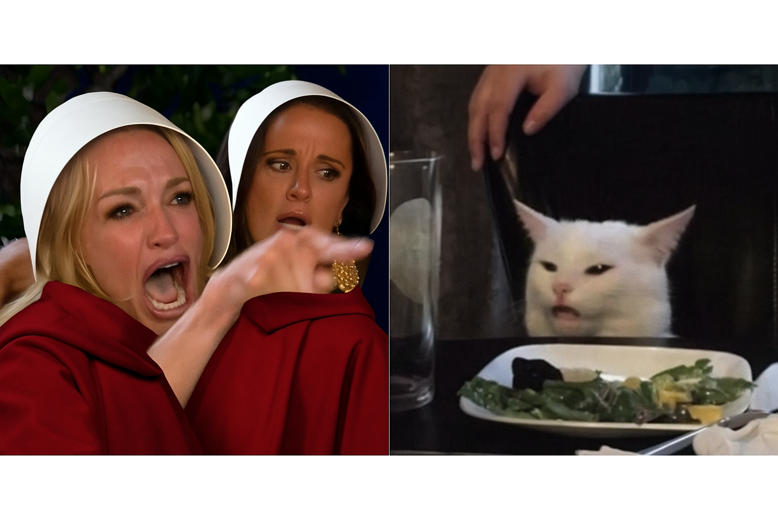 handmaid yelling Blank Meme Template