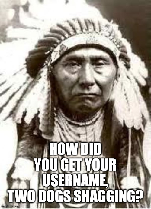 Red Indian | HOW DID YOU GET YOUR USERNAME,
TWO DOGS SHAGGING? | image tagged in red indian | made w/ Imgflip meme maker