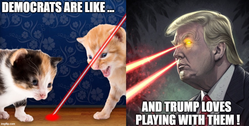Dems are stupid | DEMOCRATS ARE LIKE ... AND TRUMP LOVES 
PLAYING WITH THEM ! | made w/ Imgflip meme maker
