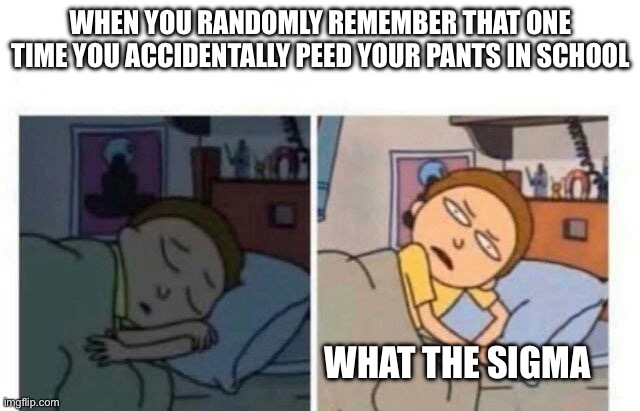 Morty waking up | WHEN YOU RANDOMLY REMEMBER THAT ONE TIME YOU ACCIDENTALLY PEED YOUR PANTS IN SCHOOL; WHAT THE SIGMA | image tagged in morty waking up | made w/ Imgflip meme maker