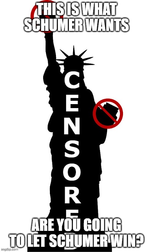 Lady Liberty CENSORED | THIS IS WHAT SCHUMER WANTS; ARE YOU GOING TO LET SCHUMER WIN? | image tagged in lady liberty censored | made w/ Imgflip meme maker
