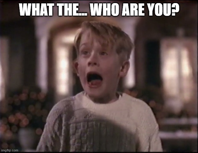 WHAT THE... WHO ARE YOU? | image tagged in kevin screaming | made w/ Imgflip meme maker