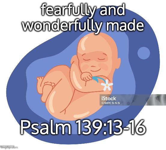 SLEEP LIKE A BABY | fearfully and wonderfully made; Psalm 139:13-16 | image tagged in sweet dreams | made w/ Imgflip meme maker