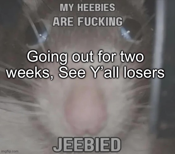 I am going to travel to the USA, americans users be ready for my arrival | Going out for two weeks, See Y’all losers | image tagged in my heebies are fucking jeebied | made w/ Imgflip meme maker