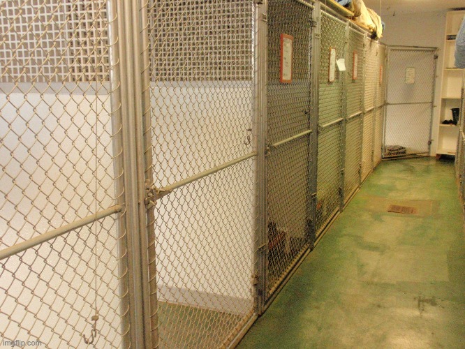 Guess this backrooms level | image tagged in backrooms,the backrooms,nostalgia,anemoia | made w/ Imgflip meme maker