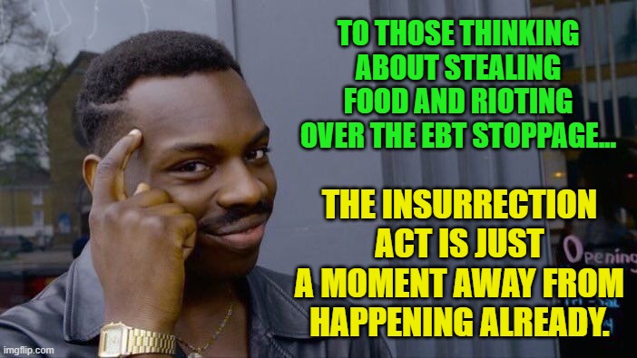 Roll Safe Think About It Meme | TO THOSE THINKING ABOUT STEALING FOOD AND RIOTING OVER THE EBT STOPPAGE... THE INSURRECTION ACT IS JUST A MOMENT AWAY FROM HAPPENING ALREADY. | image tagged in memes,roll safe think about it | made w/ Imgflip meme maker