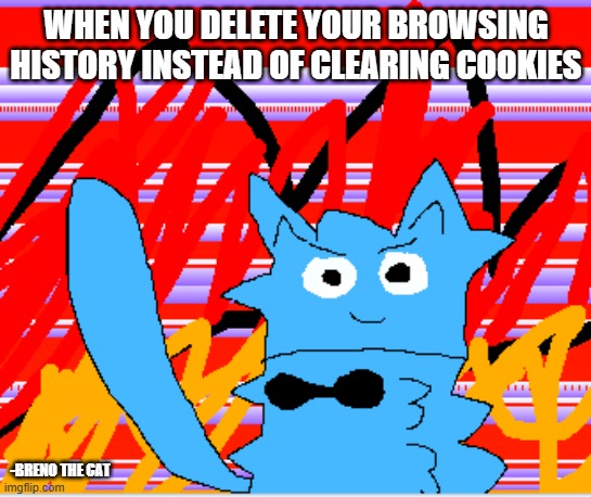 breno the cat evil | WHEN YOU DELETE YOUR BROWSING HISTORY INSTEAD OF CLEARING COOKIES; -BRENO THE CAT | image tagged in breno the cat anticats i burned it down | made w/ Imgflip meme maker
