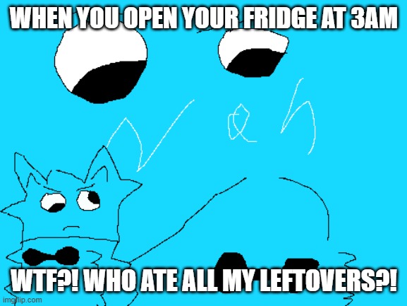 breno the cat wtf | WHEN YOU OPEN YOUR FRIDGE AT 3AM; WTF?! WHO ATE ALL MY LEFTOVERS?! | image tagged in breno the cat anticats nah man wtf | made w/ Imgflip meme maker