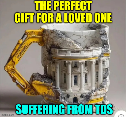 THE PERFECT GIFT FOR A LOVED ONE SUFFERING FROM TDS | made w/ Imgflip meme maker