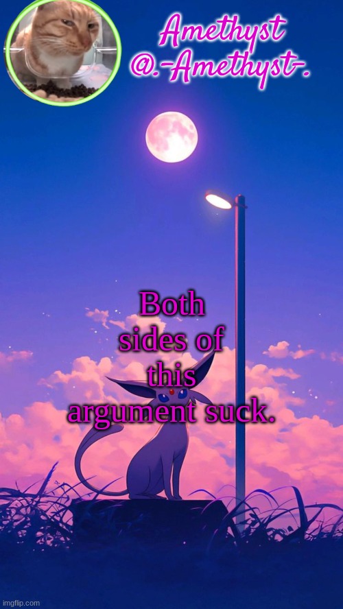 Amethyst announcement template | Both sides of this argument suck. | image tagged in amethyst announcement template | made w/ Imgflip meme maker